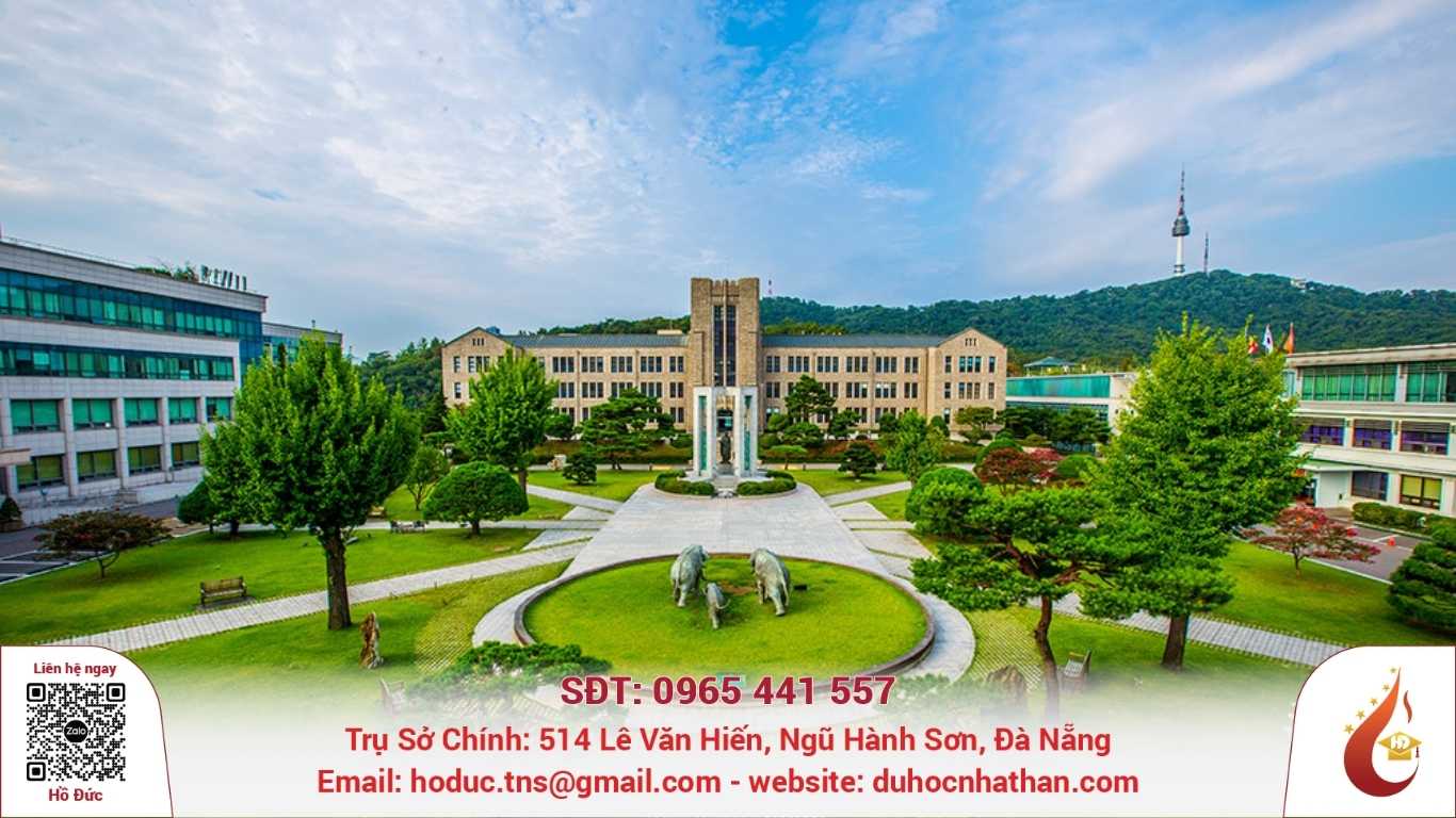 Đại học Dongguk (동국대학교) 2026: Tất tần tật thông tin cần biết